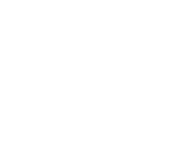 Cirkus in Beweging